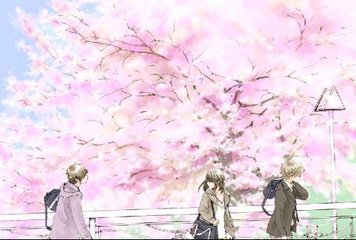 深入了解 免费稀缺资源网站
